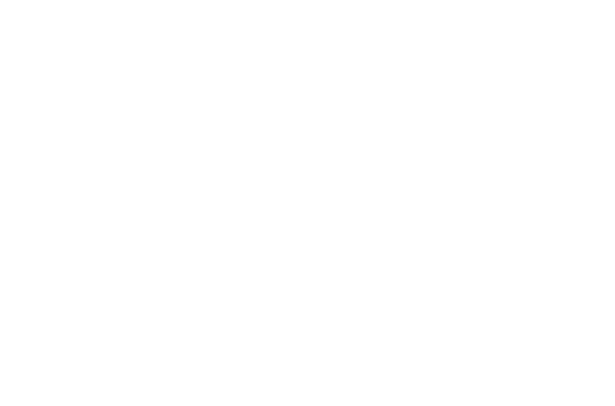 Tenax Protection